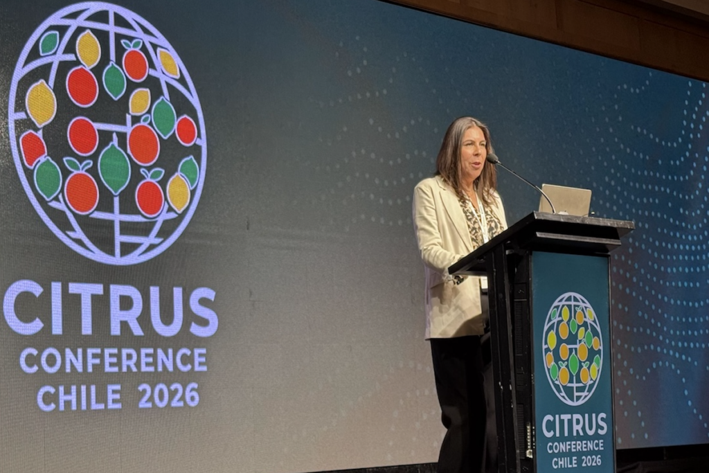 La industria citrícola chilena se reúne en Citrus Conference 2026